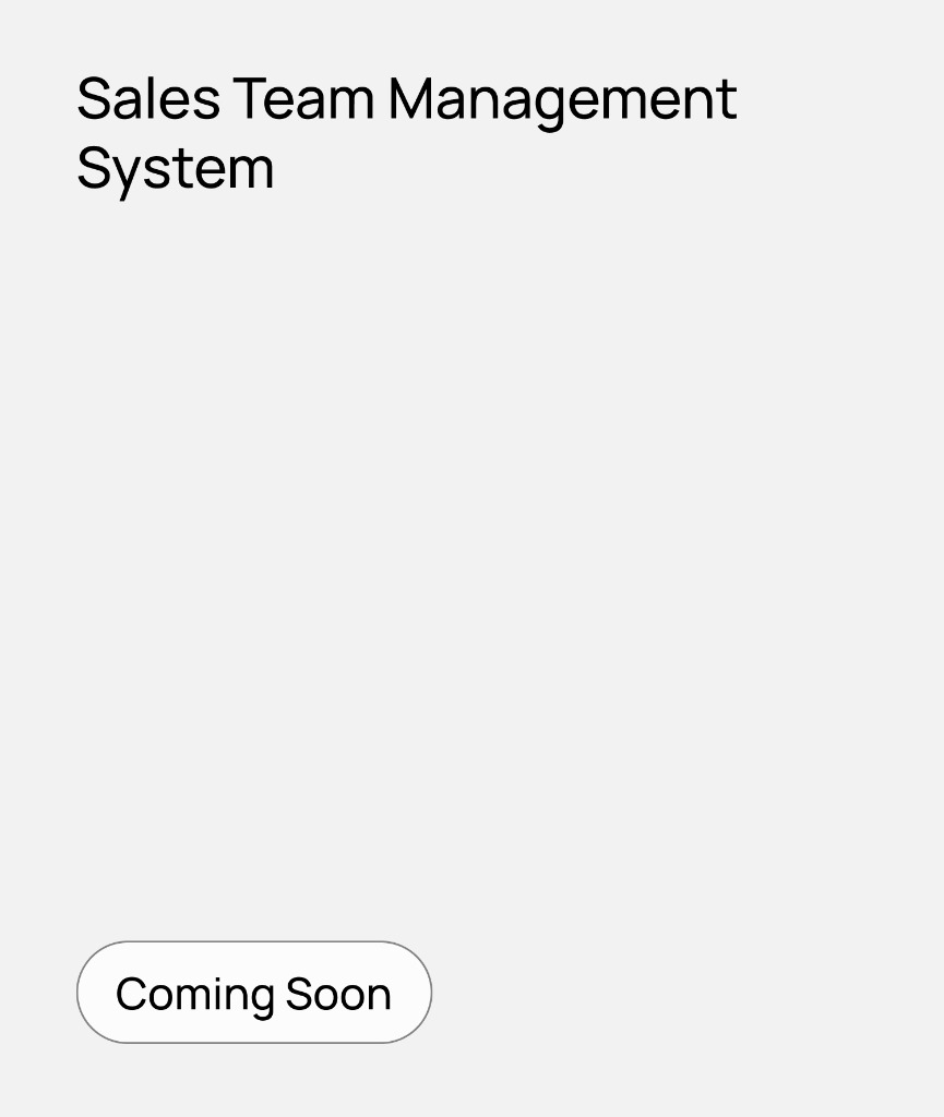 Sales Team Management System